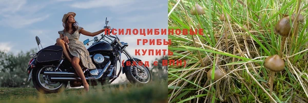 крисы Гусиноозёрск
