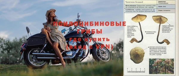 spice Гусев